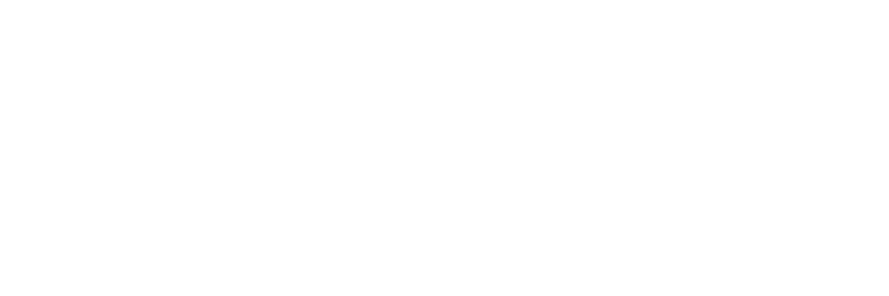 TCPIP Informatics Inc. Logo